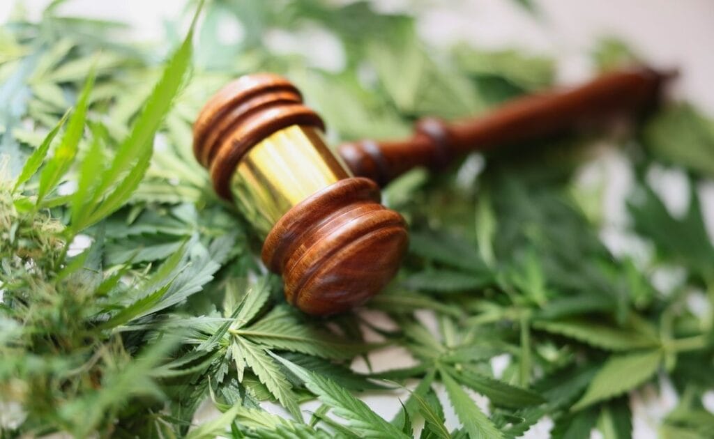marijuana possession, drug paraphernalia, criminal defense case
